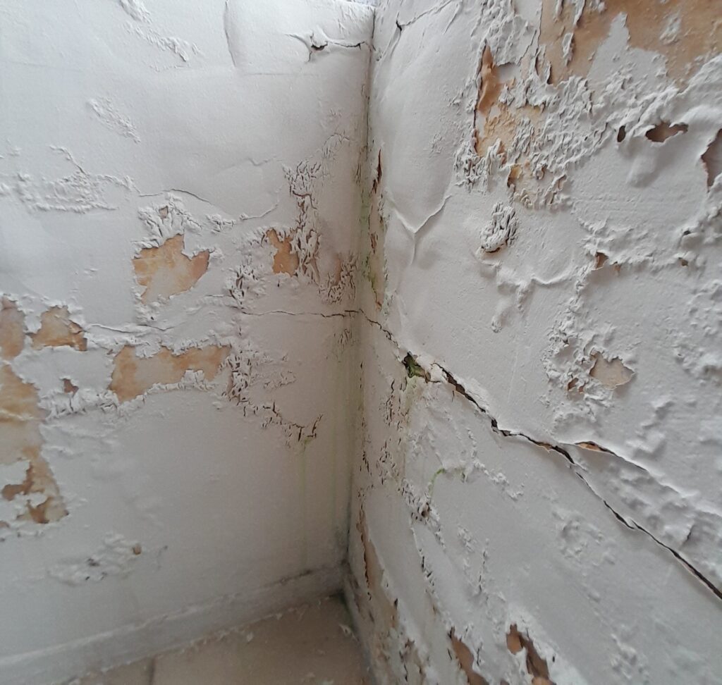 damp proofing
