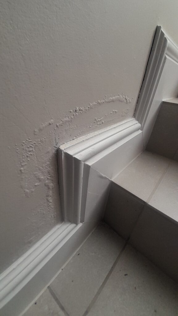 damp proofing 2